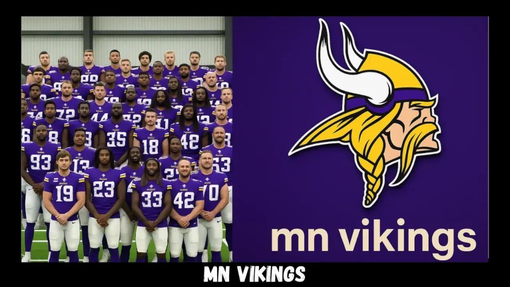 mn vikings