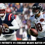 new england patriots vs chicago bears match player stats