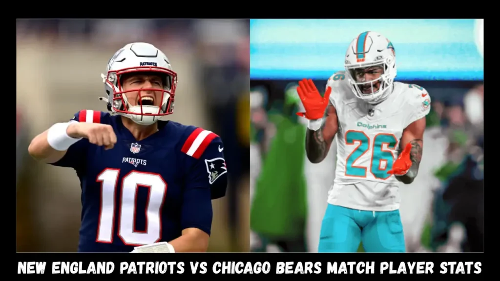 new england patriots vs miami dolphins match player stats